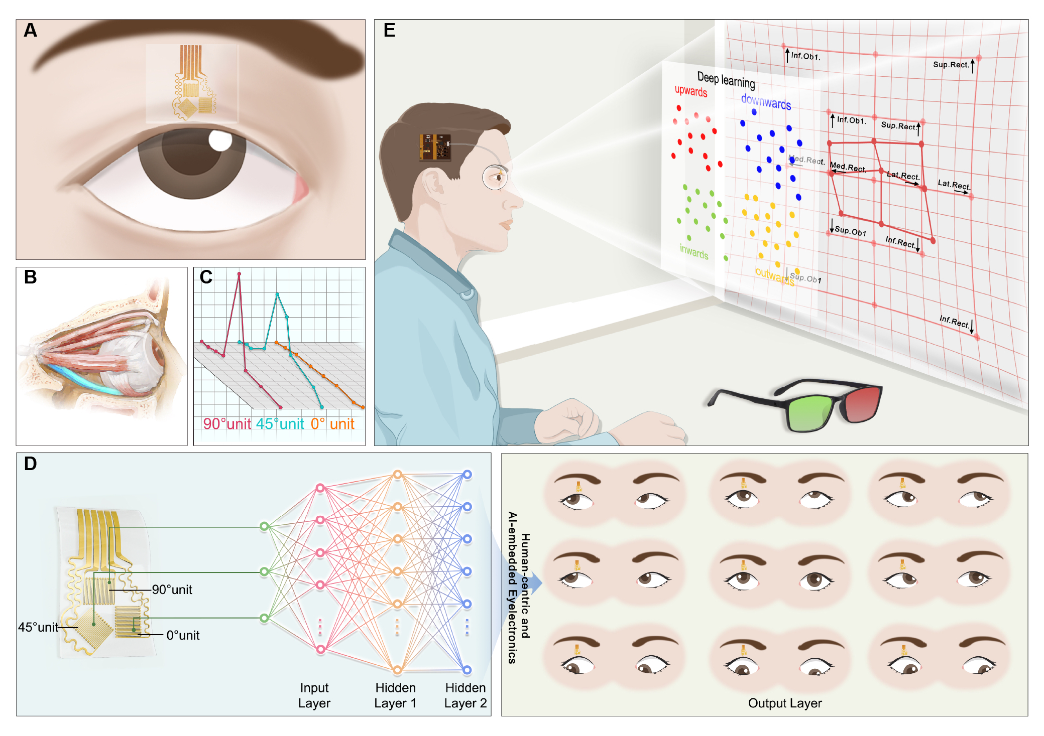 20260206-001-德州扑克规则
-匿名.jpg